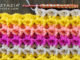 Crochet 3D V Stitch Pattern
