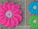 Crochet Flowing Flower with Petals