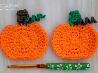 Crochet Pumpkin Applique