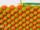 Crochet Pumpkin Stitch Video Tutorial and Written Pattern by Donna Wolfe from Naztazia