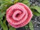 Beginner Knit Rose Flower and Easy Knitted Rolled Roses