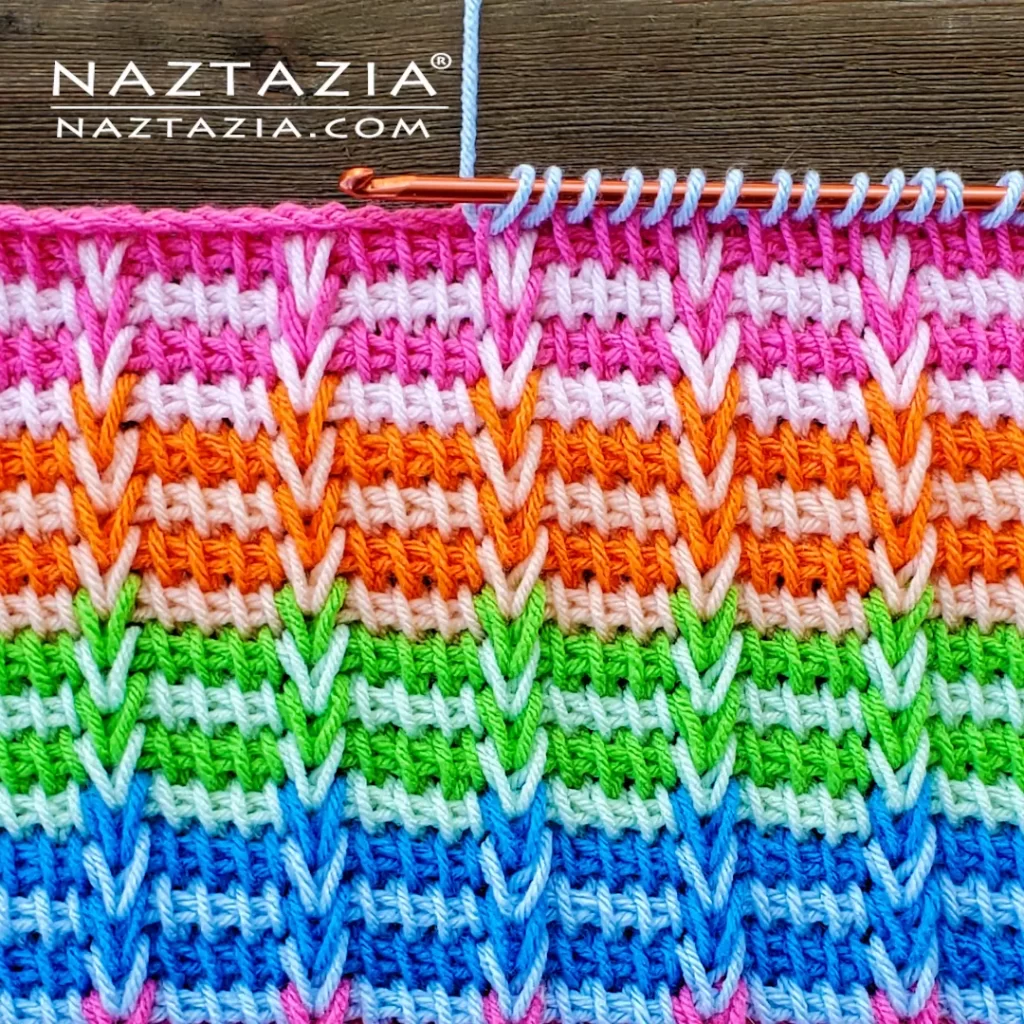 Tunisian Crochet Braids by Donna Wolfe from Naztazia Video Tutorial and Written Pattern