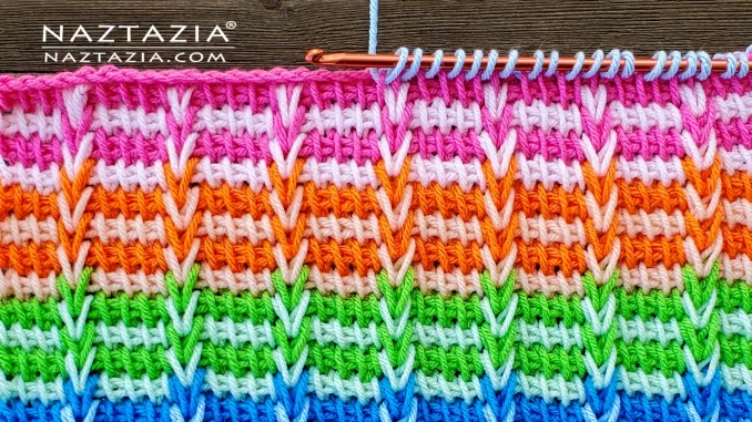 Tunisian Crochet Braids by Donna Wolfe from Naztazia Written Pattern and Video Tutorial