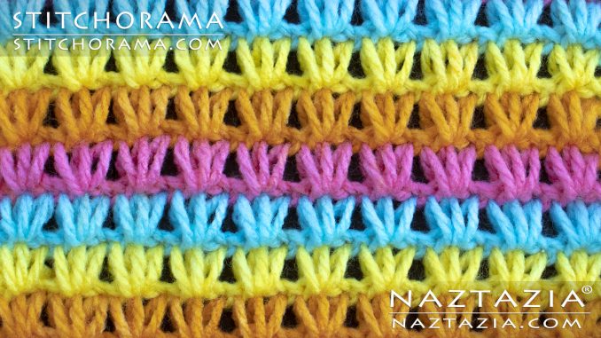 Tunisian Crochet Shell Stitch from Stitchorama Collection